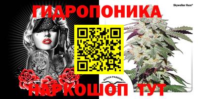 spice Ставрополь